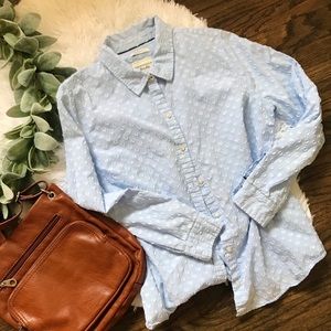 Charter Club Light Blue Polka Dot Button Up